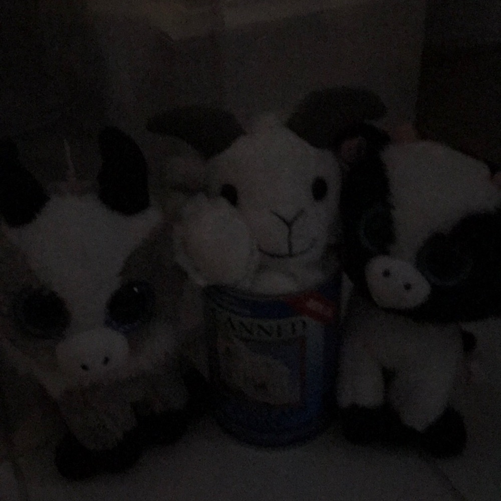 Meet your Posher, Lori